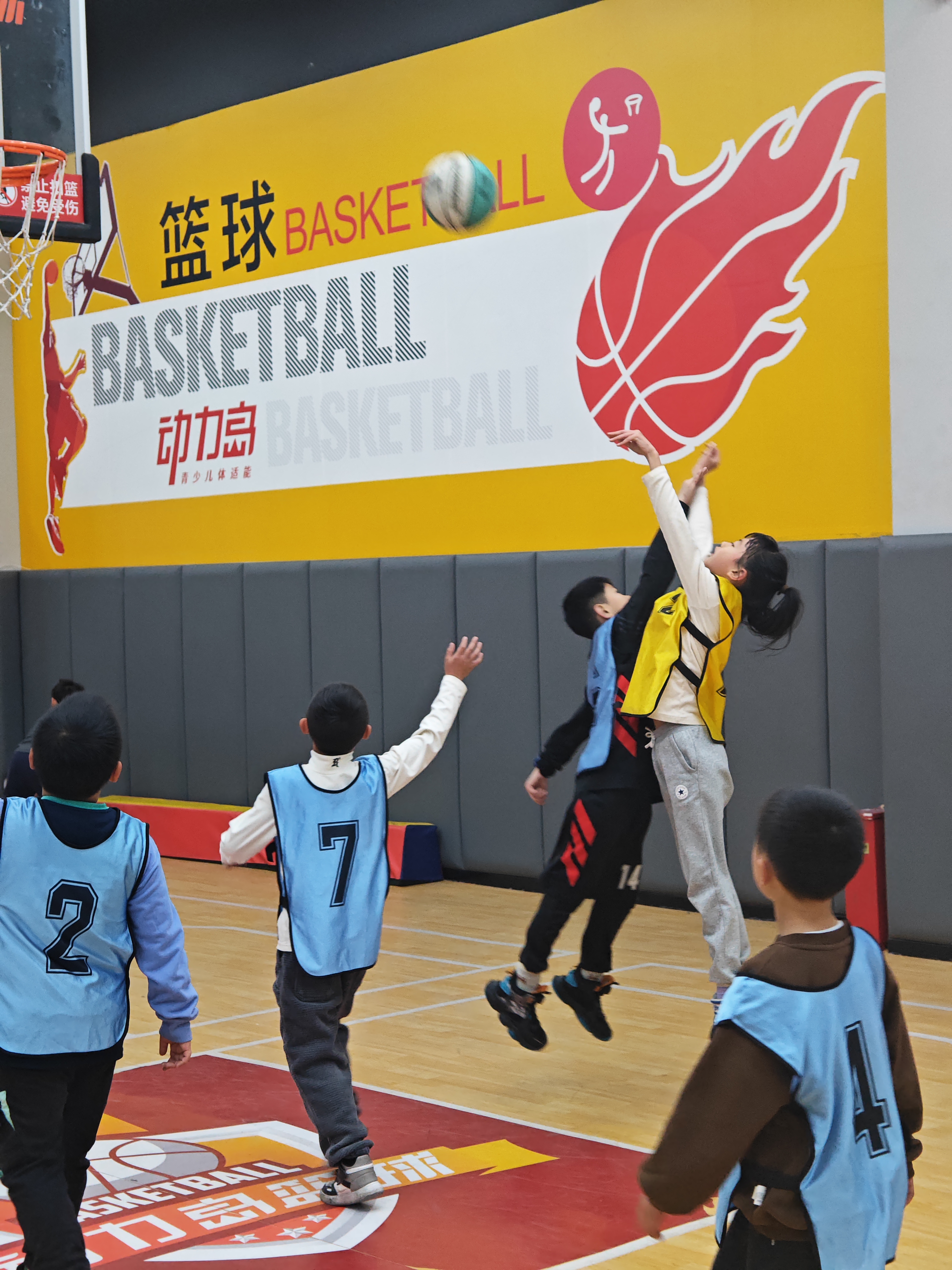 关于竞技篮球夏令营吸引万名青少年参与的信息