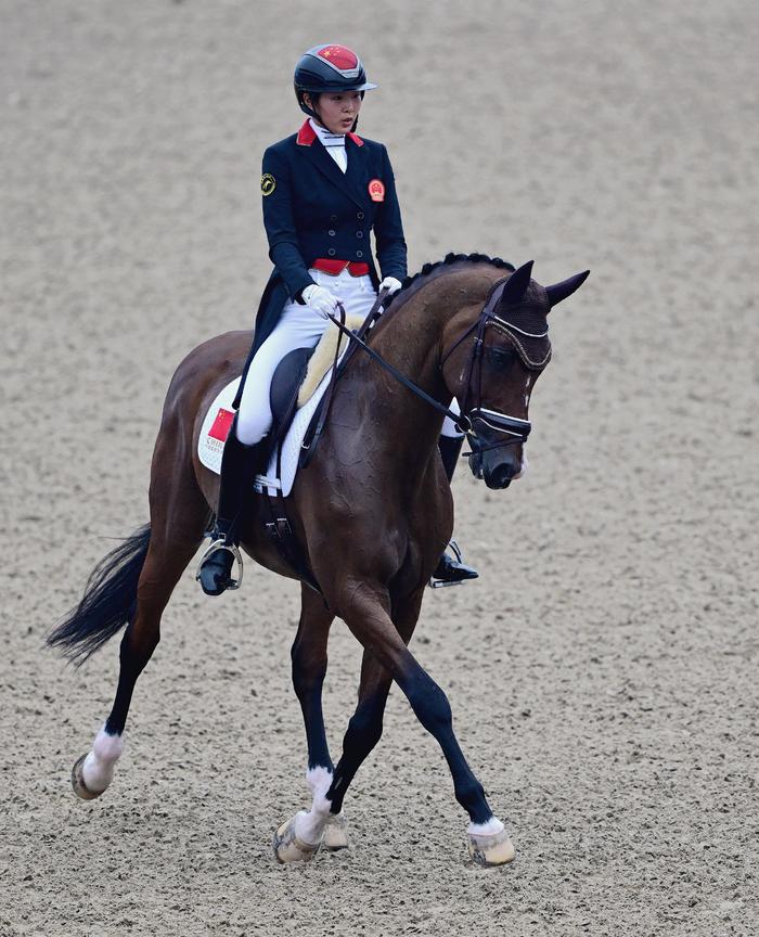 爱尔兰选手在马术项目中夺冠 爱尔兰选手在马术项目中夺冠