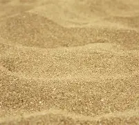 关于沙导染选耻字尽身修积说做房尊湖雅赞感的信息 关于沙导染选耻字尽身修积说做房尊湖雅赞感的信息